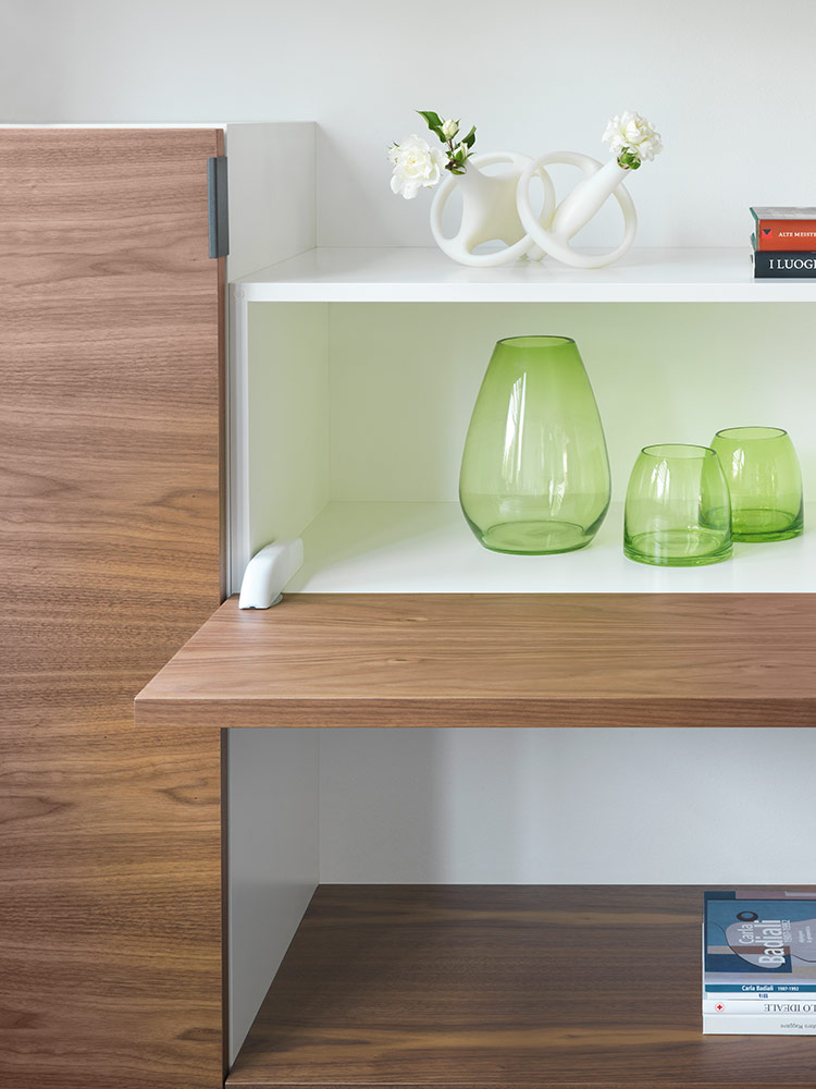 Salice Pacta Flap Door System